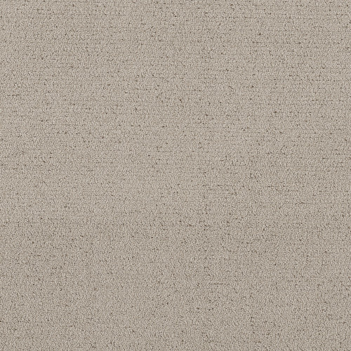 INTRICATE TRACE - River Birch 00106