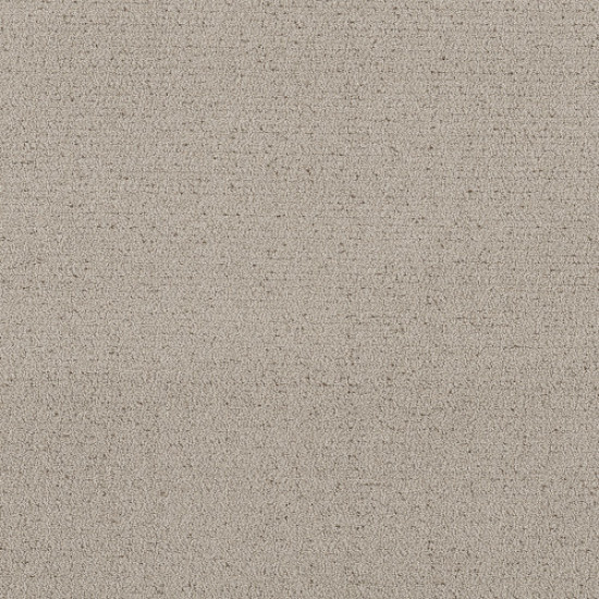 INTRICATE TRACE - River Birch 00106