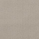 INTRICATE TRACE - River Birch 00106