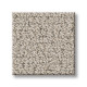 INTRICATE TRACE - River Birch 00106
