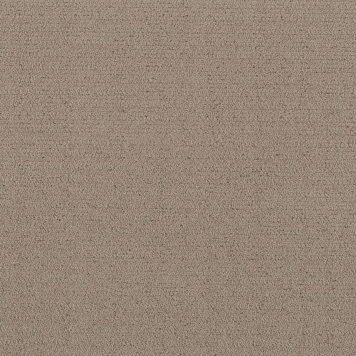 INTRICATE TRACE - Cameo 00113
