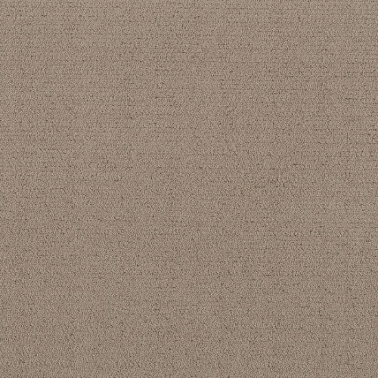 INTRICATE TRACE - Cameo 00113 INTRICATE TRACE - Cameo 00113