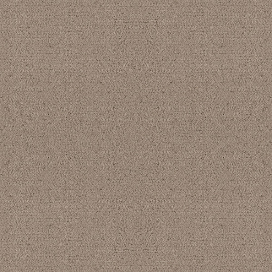 INTRICATE TRACE - Cameo 00113 INTRICATE TRACE - Cameo 00113