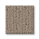 INTRICATE TRACE - Cameo 00113 INTRICATE TRACE - Cameo 00113