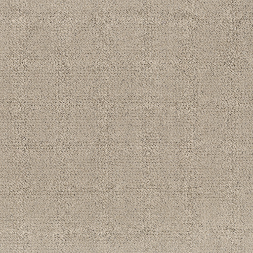 INTRICATE TRACE - Warm Light 00116