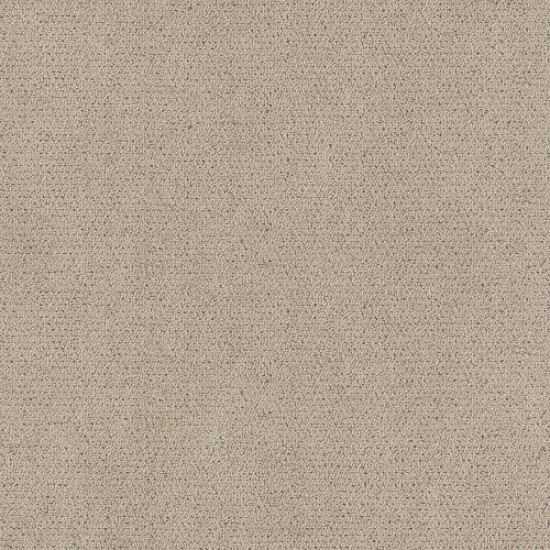 INTRICATE TRACE - Warm Light 00116