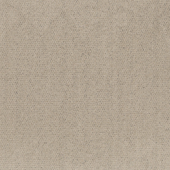 INTRICATE TRACE - Warm Light 00116