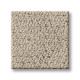 INTRICATE TRACE - Warm Light 00116