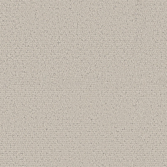 INTRICATE TRACE - Snowfall 00150