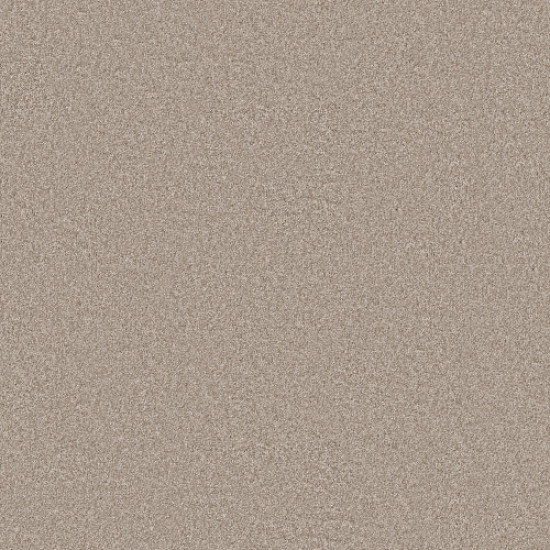 YOU GOT THIS II - Subtle Clay 00114