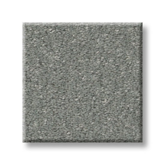 WAY TO GO I - Dolphin Fin 00400 WAY TO GO I - Dolphin Fin 00400