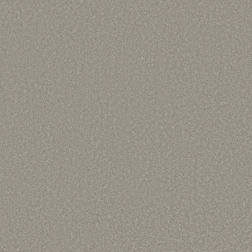 WAY TO GO I - Taupe Tone 00500
