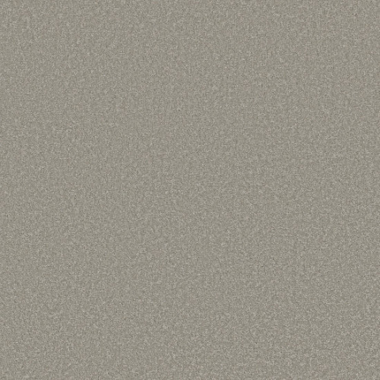 WAY TO GO I - Taupe Tone 00500 WAY TO GO I - Taupe Tone 00500
