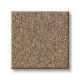 WAY TO GO I - Polo Tan 00710 WAY TO GO I - Polo Tan 00710
