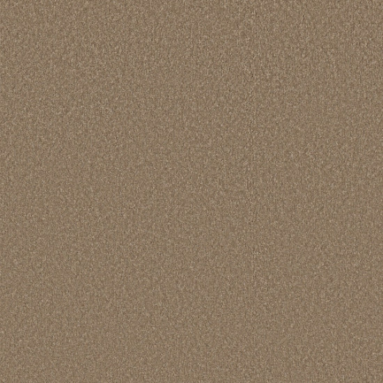 WAY TO GO I - Polo Tan 00710 WAY TO GO I - Polo Tan 00710
