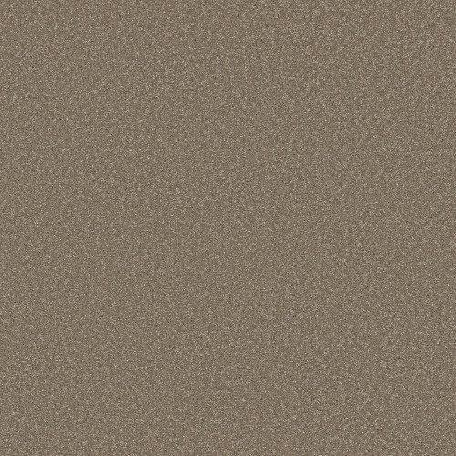 WAY TO GO I - Chic Taupe 00711