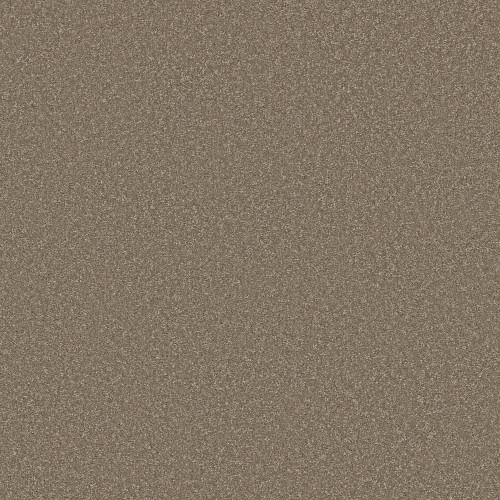 WAY TO GO II - Chic Taupe 00711