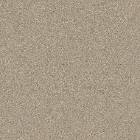 WAY TO GO III - Desert Khaki 00111 WAY TO GO III - Desert Khaki 00111