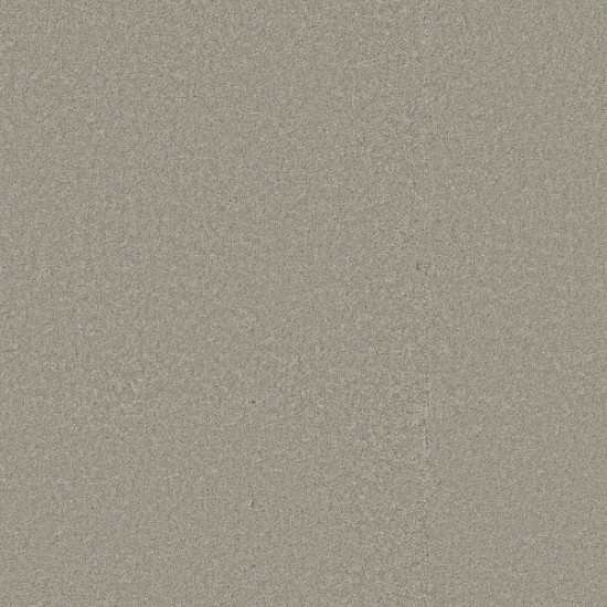 WAY TO GO III - Taupe Tone 00500