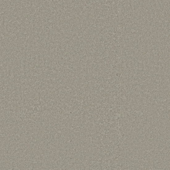 WAY TO GO III - Taupe Tone 00500