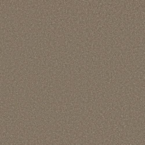 WAY TO GO III - Chic Taupe 00711