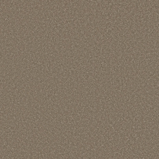WAY TO GO III - Chic Taupe 00711 WAY TO GO III - Chic Taupe 00711