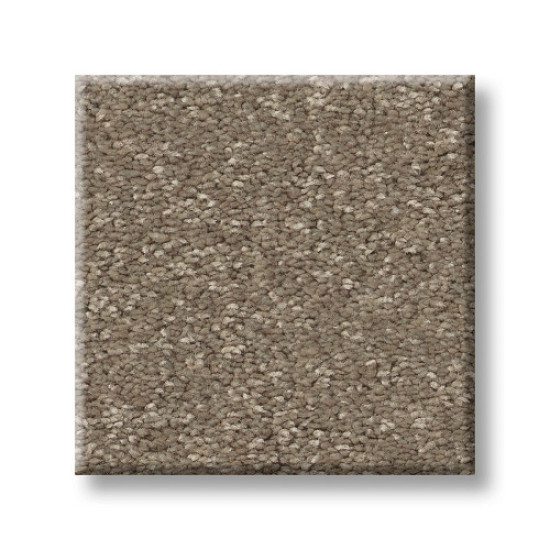 WAY TO GO III - Chic Taupe 00711