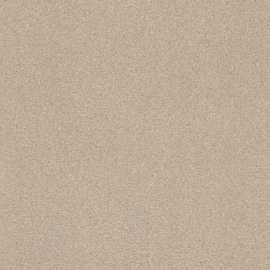 SOLIDIFY I 15' - Bleached 00101