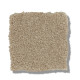 SOLIDIFY I 15' - Raw Lumber 00102