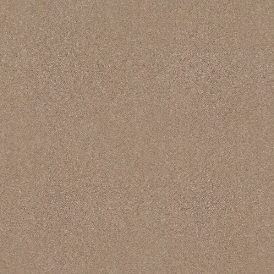 SOLIDIFY I 15' - Raw Lumber 00102