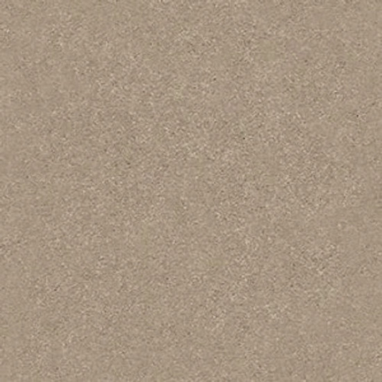 SOLIDIFY I 15' - Raw Lumber 00102
