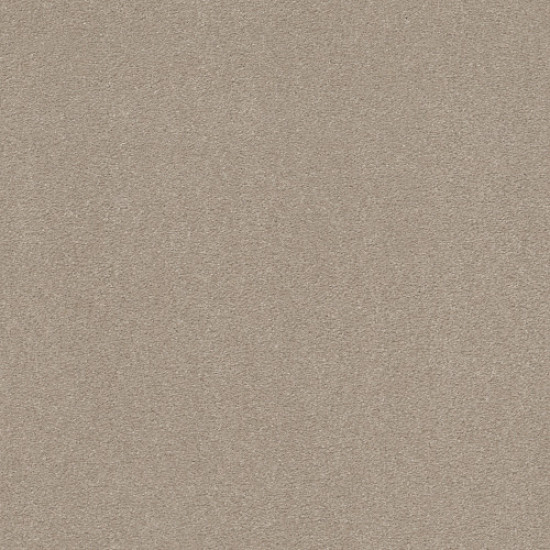 SOLIDIFY I 15' - Dreamy 00103