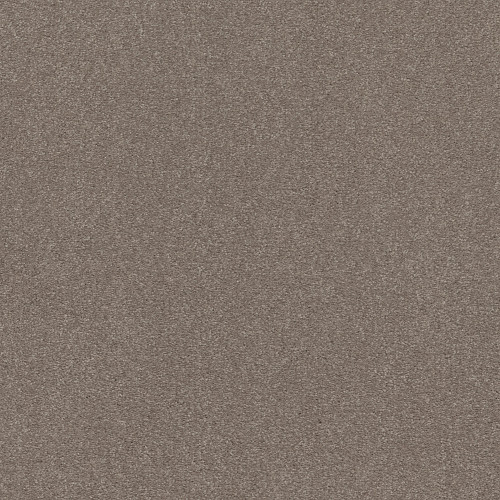 SOLIDIFY I 15' - Tree Bark 00700