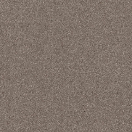 SOLIDIFY I 15' - Tree Bark 00700 SOLIDIFY I 15' - Tree Bark 00700