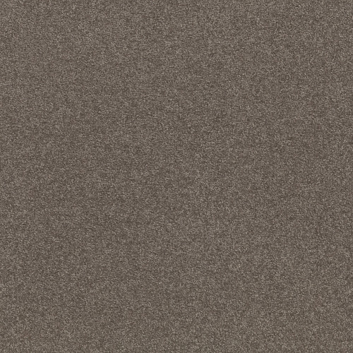 SOLIDIFY I 15' - Pewter 00701