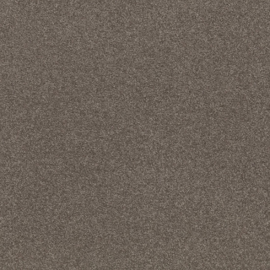 SOLIDIFY I 15' - Pewter 00701