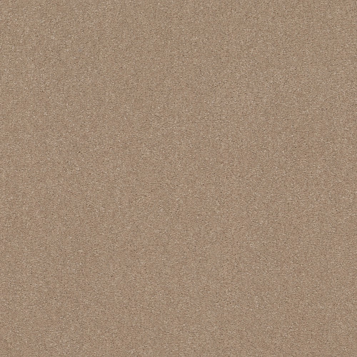 SOLIDIFY II 15' - Raw Lumber 00102