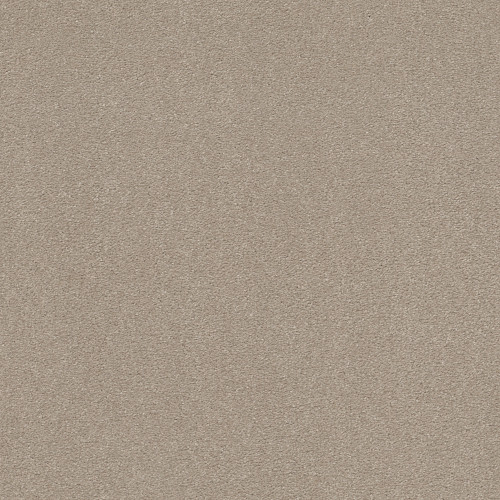 SOLIDIFY II 15' - Dreamy 00103