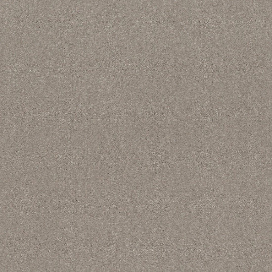 SOLIDIFY II 15' - Greige 00106