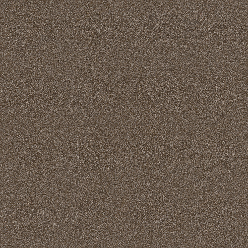 TRUSPIRIT II - Chestnut 00707