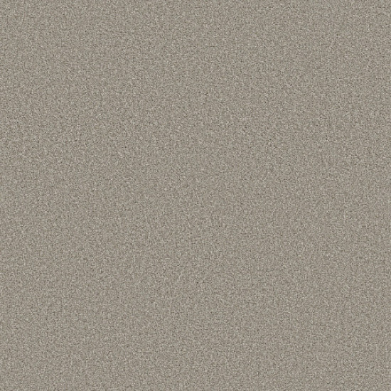 TRUSOLUTIONS I - Stone Path 00505 TRUSOLUTIONS I - Stone Path 00505