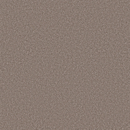 TRUSOLUTIONS I - Taupe Dream 00705