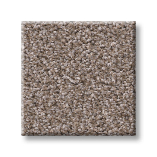 TRUSOLUTIONS I - Taupe Dream 00705