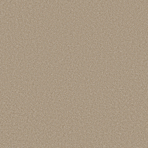 TRUSOLUTIONS II - Sheer Natural 00110