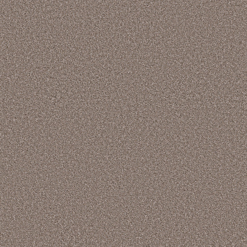 TRUSOLUTIONS II - Taupe Dream 00705