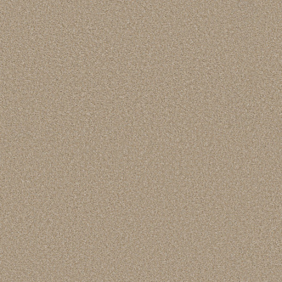 TRUSOLUTIONS III - Sheer Natural 00110 TRUSOLUTIONS III - Sheer Natural 00110