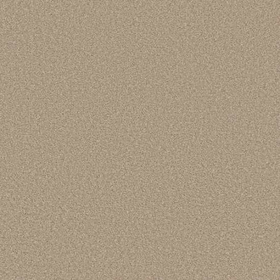TRUSOLUTIONS III - Sheer Natural 00110 TRUSOLUTIONS III - Sheer Natural 00110