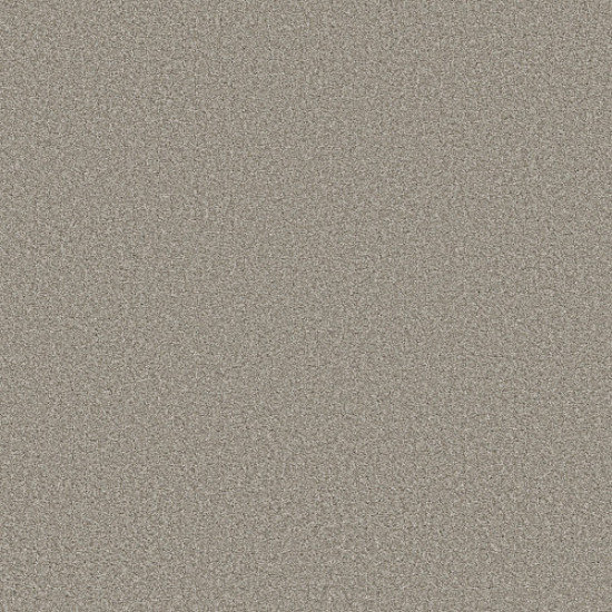 TRUSOLUTIONS III - Stone Path 00505