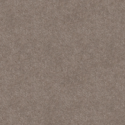 TRUSOLUTIONS III - Taupe Dream 00705