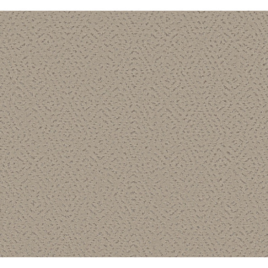ELABORATE ARTIFACT - Chic Greige 00111 ELABORATE ARTIFACT - Chic Greige 00111
